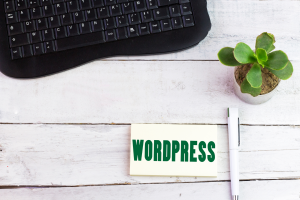 WordPress Güvenliği İçin En Etkili Yöntemler ve Zorunlu Ayarlar