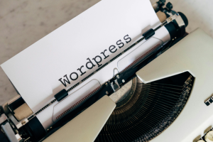 WordPress Yedekleme ve Geri Yükleme Stratejileri