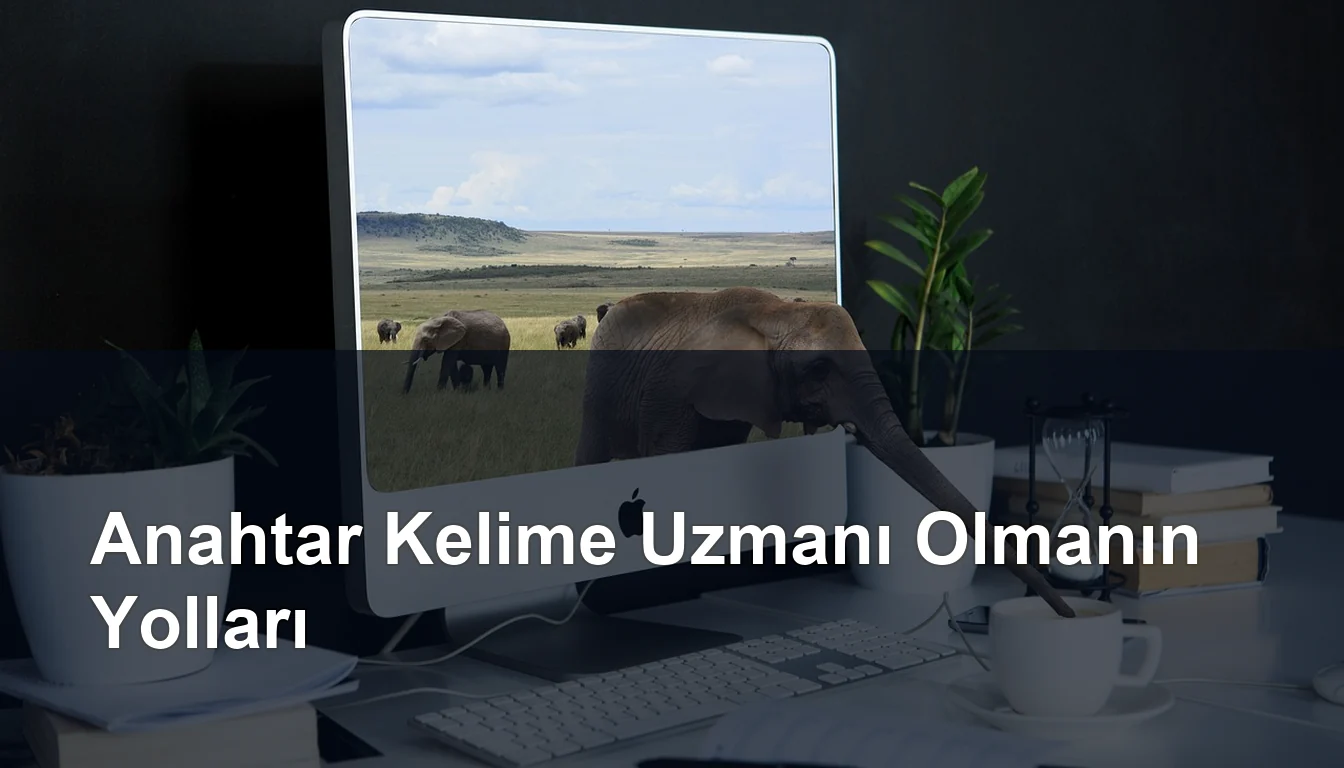 Seomasterking.com | Backlink Paketleri - Seo Hizmetleri