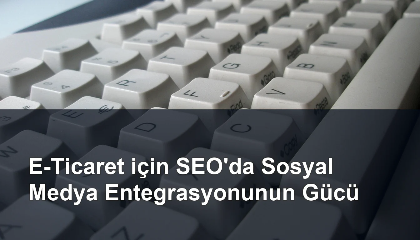 Seomasterking.com | Backlink Paketleri - Seo Hizmetleri