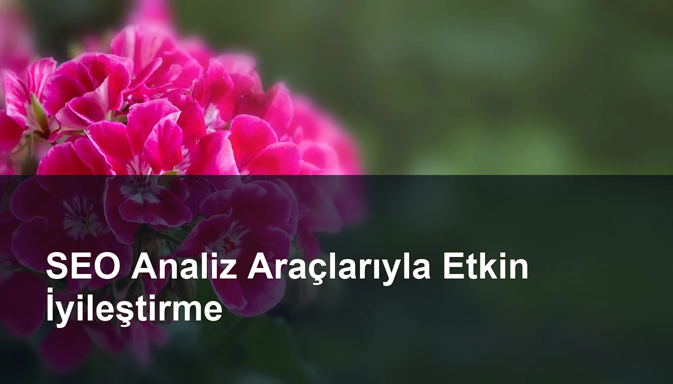 Seomasterking.com | Backlink Paketleri - Seo Hizmetleri