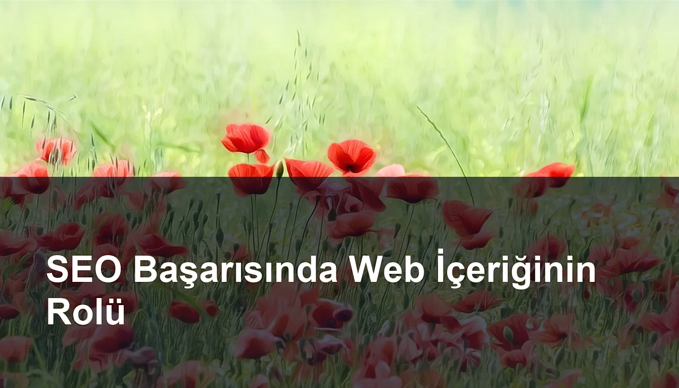 Seomasterking.com | Backlink Paketleri - Seo Hizmetleri