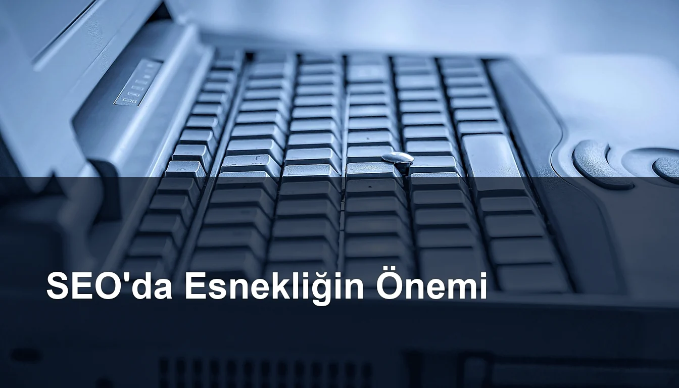 Seomasterking.com | Backlink Paketleri - Seo Hizmetleri