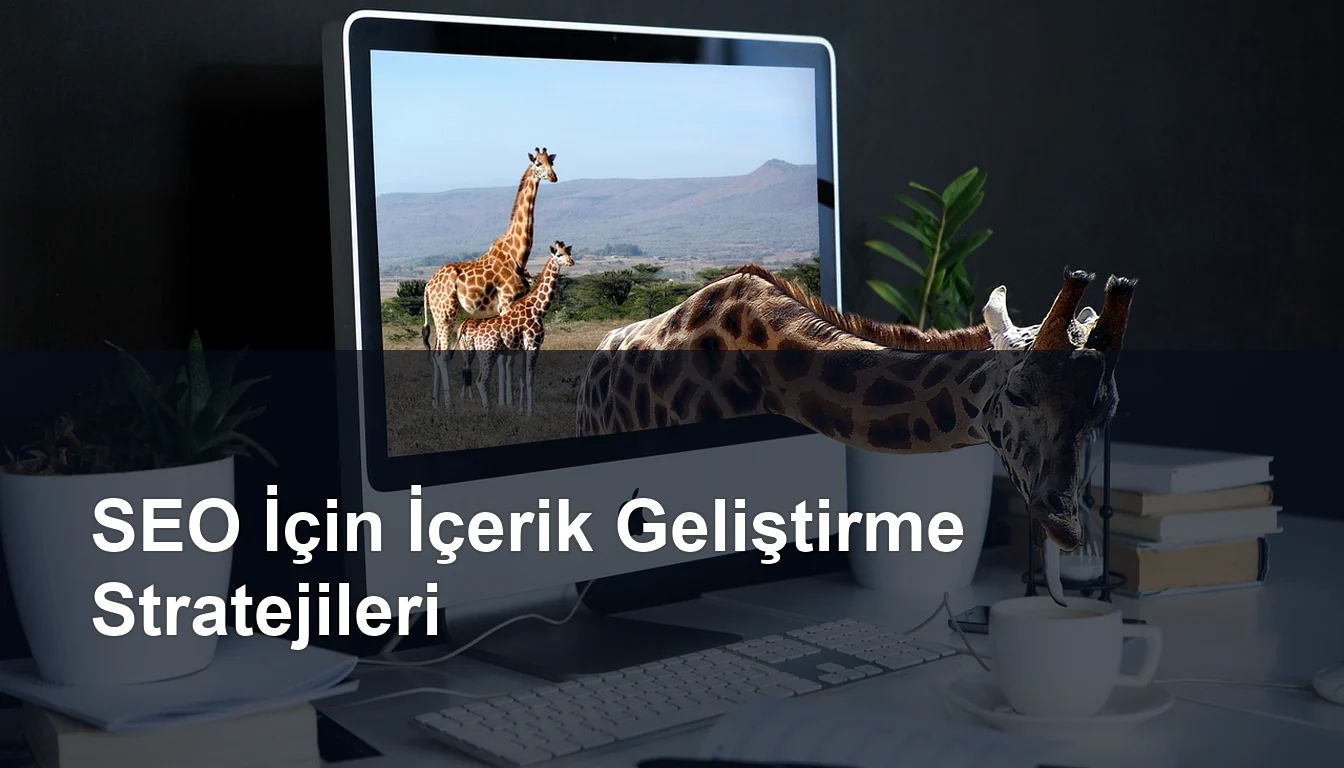 Seomasterking.com | Backlink Paketleri - Seo Hizmetleri