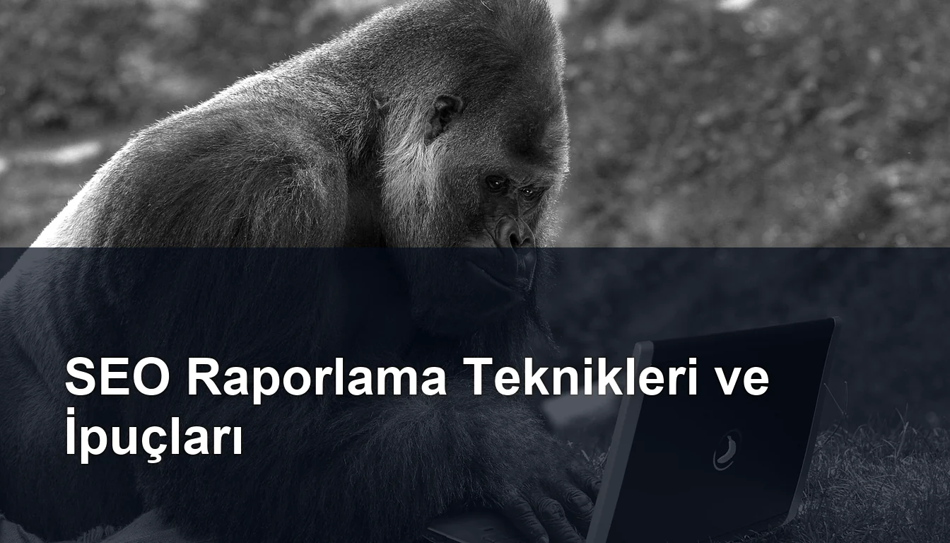 Seomasterking.com | Backlink Paketleri - Seo Hizmetleri