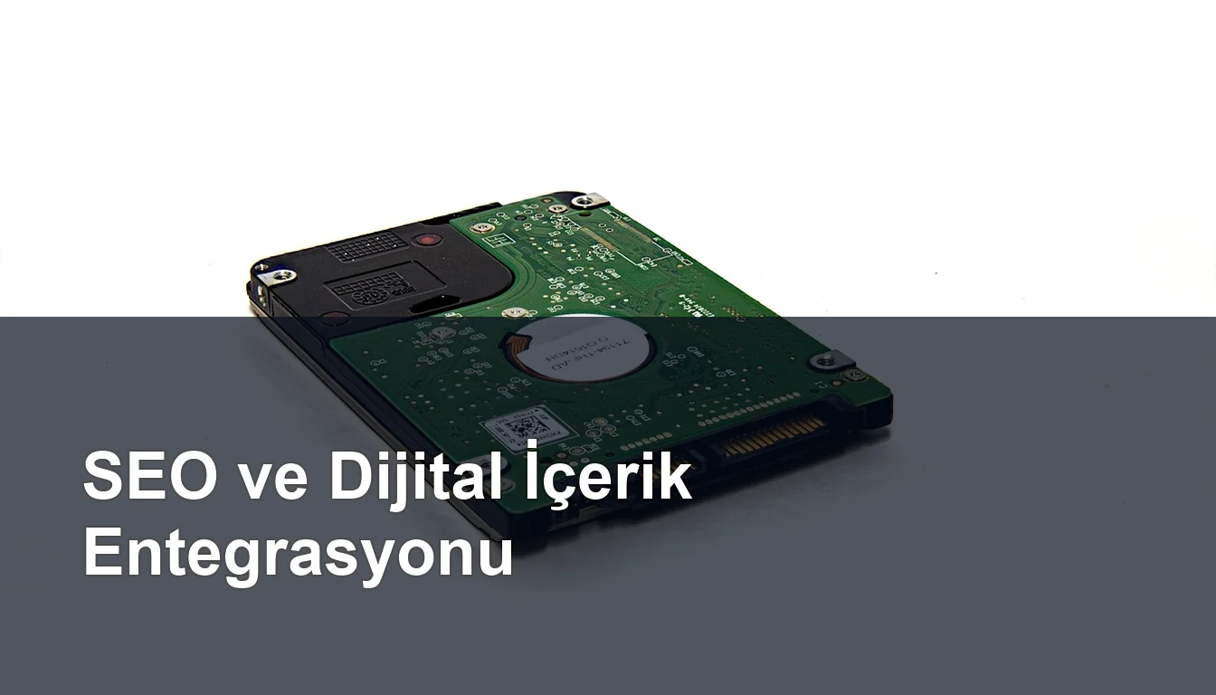 Seomasterking.com | Backlink Paketleri - Seo Hizmetleri