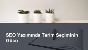 Seomasterking.com | Backlink Paketleri - Seo Hizmetleri