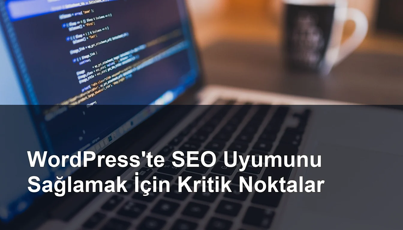 Seomasterking.com | Backlink Paketleri - Seo Hizmetleri