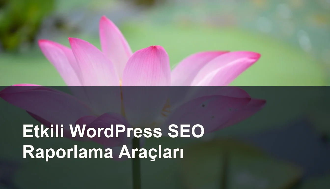 Seomasterking.com | Backlink Paketleri - Seo Hizmetleri