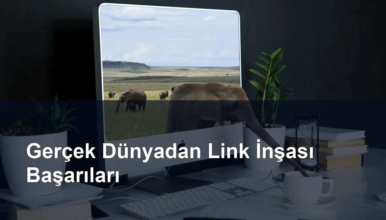 Seomasterking.com | Backlink Paketleri - Seo Hizmetleri