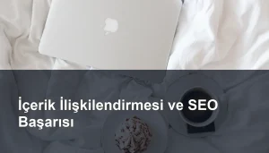 Seomasterking.com | Backlink Paketleri - Seo Hizmetleri