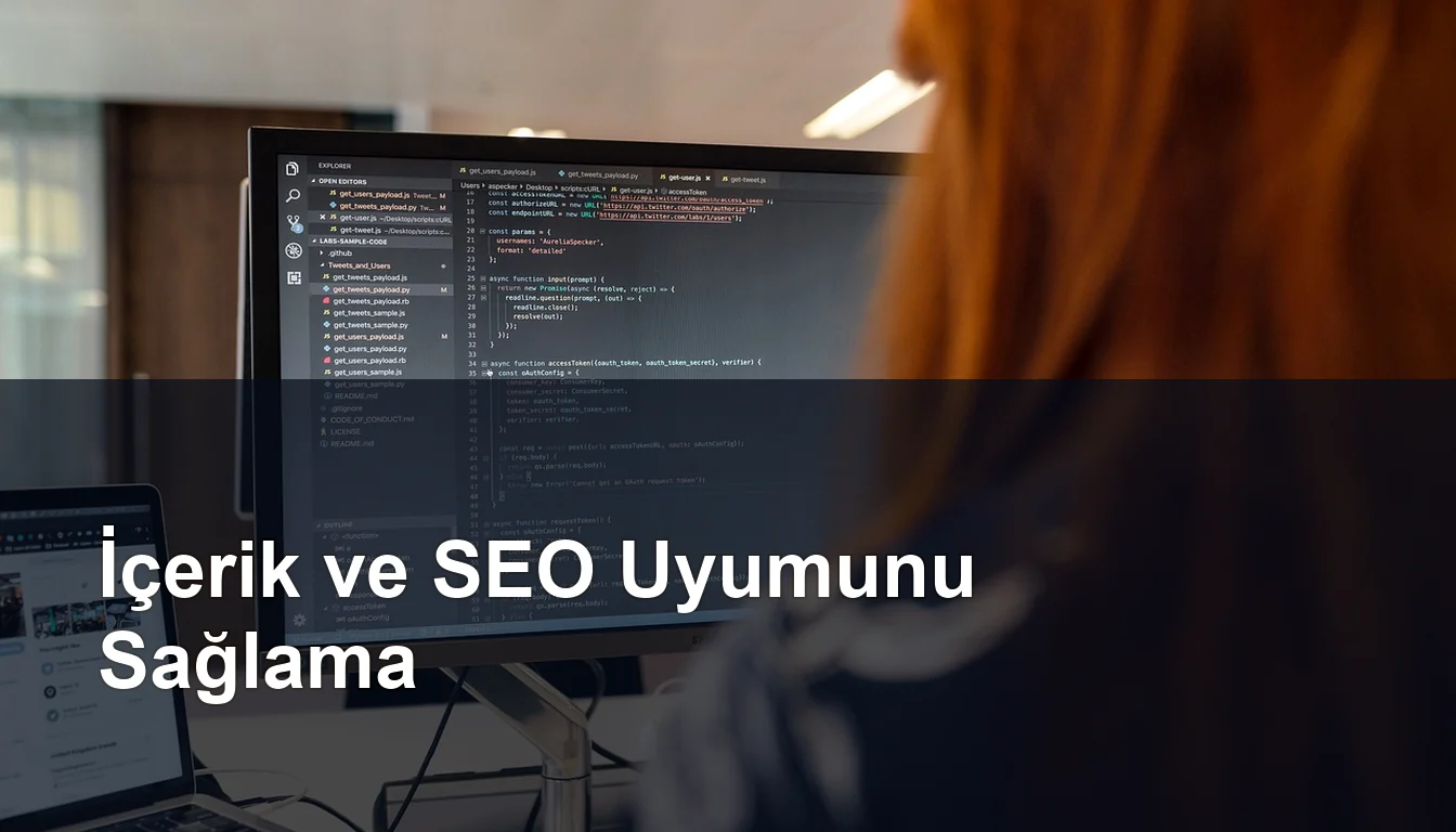 Seomasterking.com | Backlink Paketleri - Seo Hizmetleri