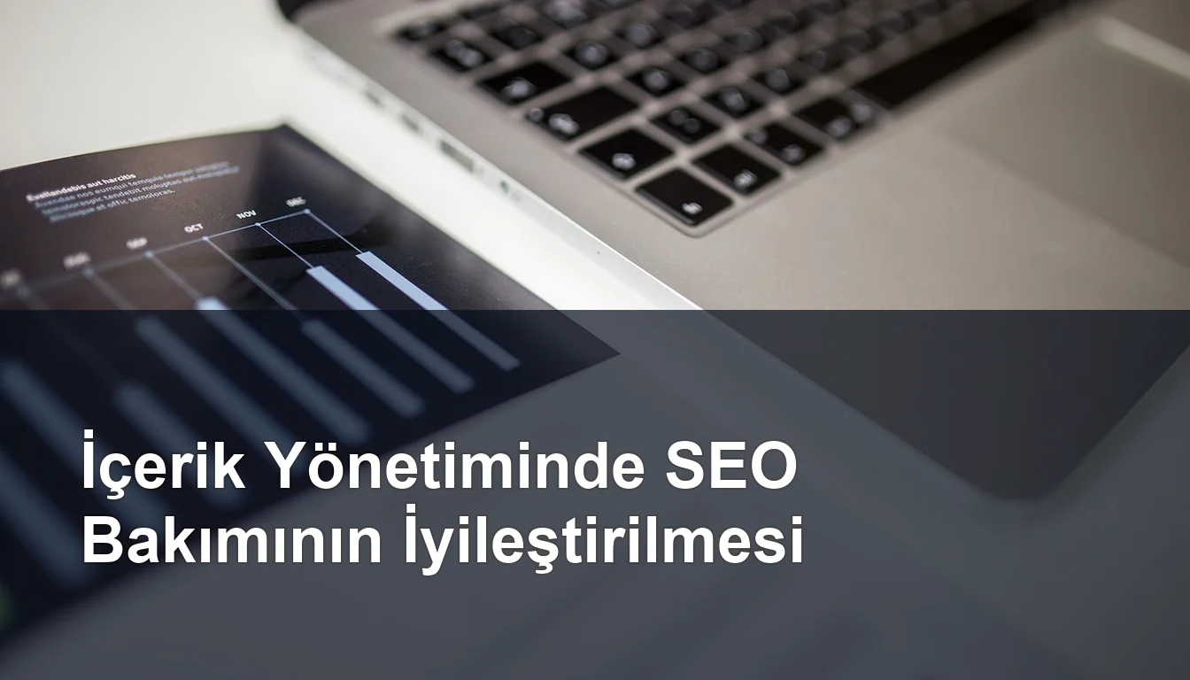 Seomasterking.com | Backlink Paketleri - Seo Hizmetleri