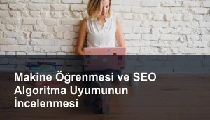 Seomasterking.com | Backlink Paketleri - Seo Hizmetleri