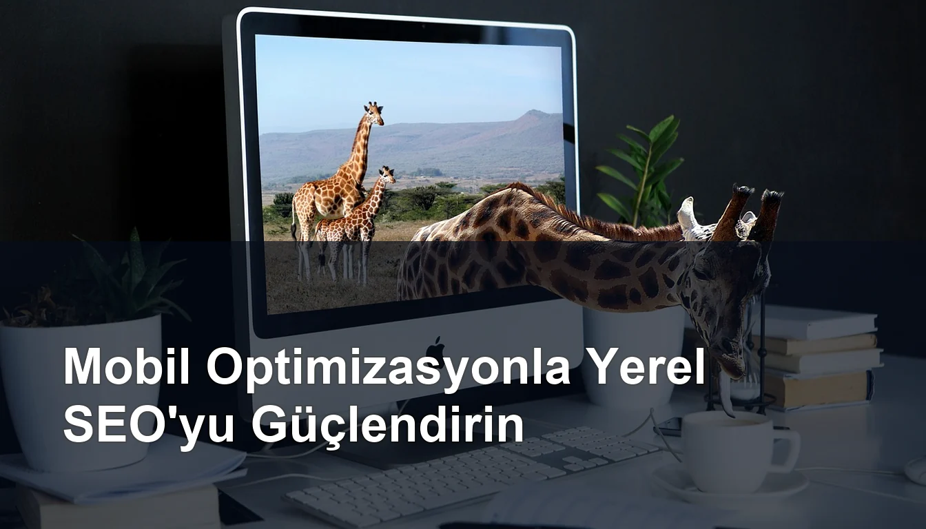 Seomasterking.com | Backlink Paketleri - Seo Hizmetleri