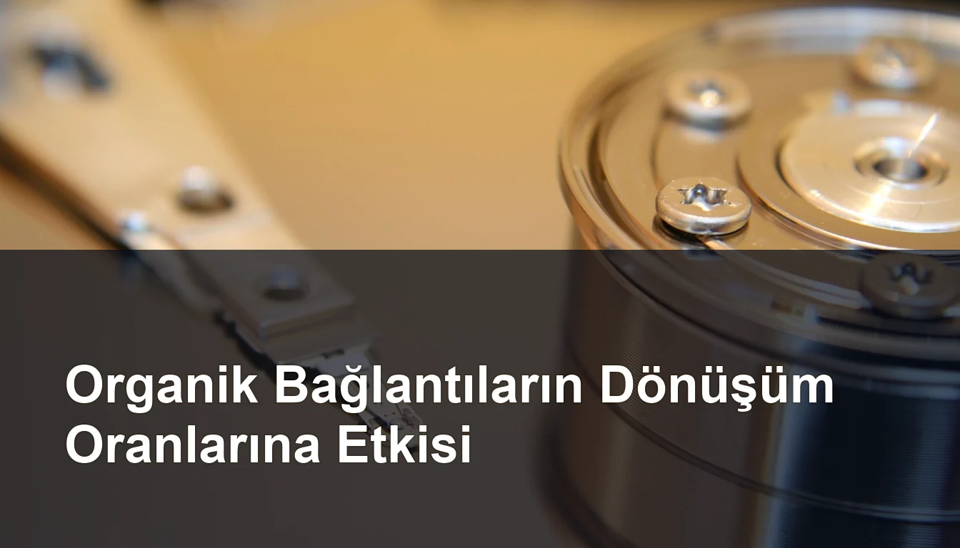 Seomasterking.com | Backlink Paketleri - Seo Hizmetleri