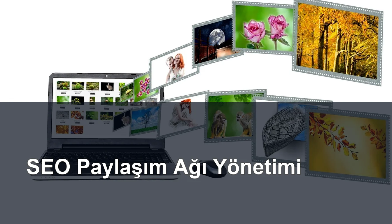 Seomasterking.com | Backlink Paketleri - Seo Hizmetleri
