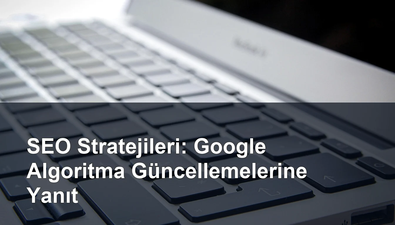 Seomasterking.com | Backlink Paketleri - Seo Hizmetleri