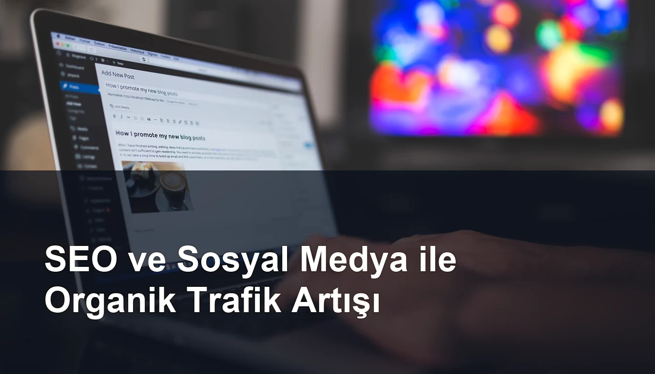 Seomasterking.com | Backlink Paketleri - Seo Hizmetleri