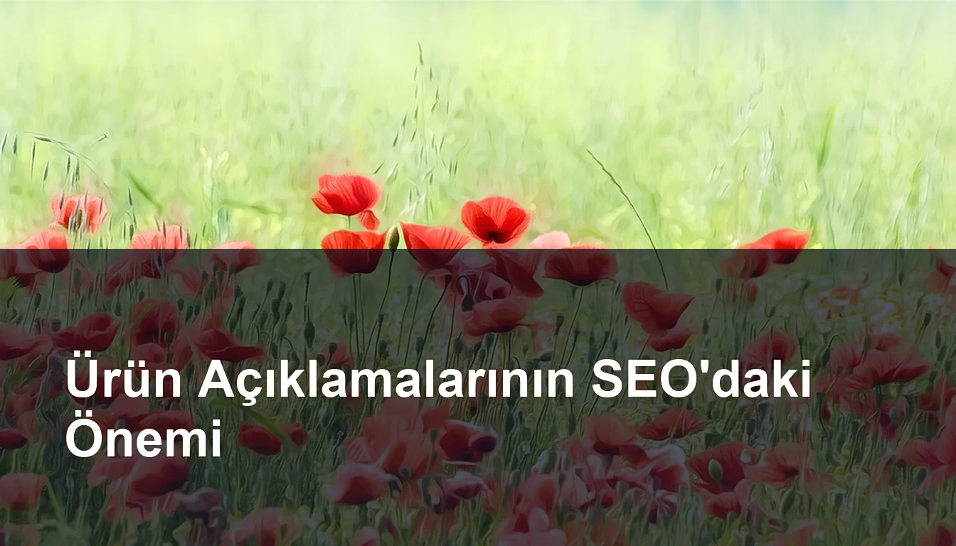 Seomasterking.com | Backlink Paketleri - Seo Hizmetleri