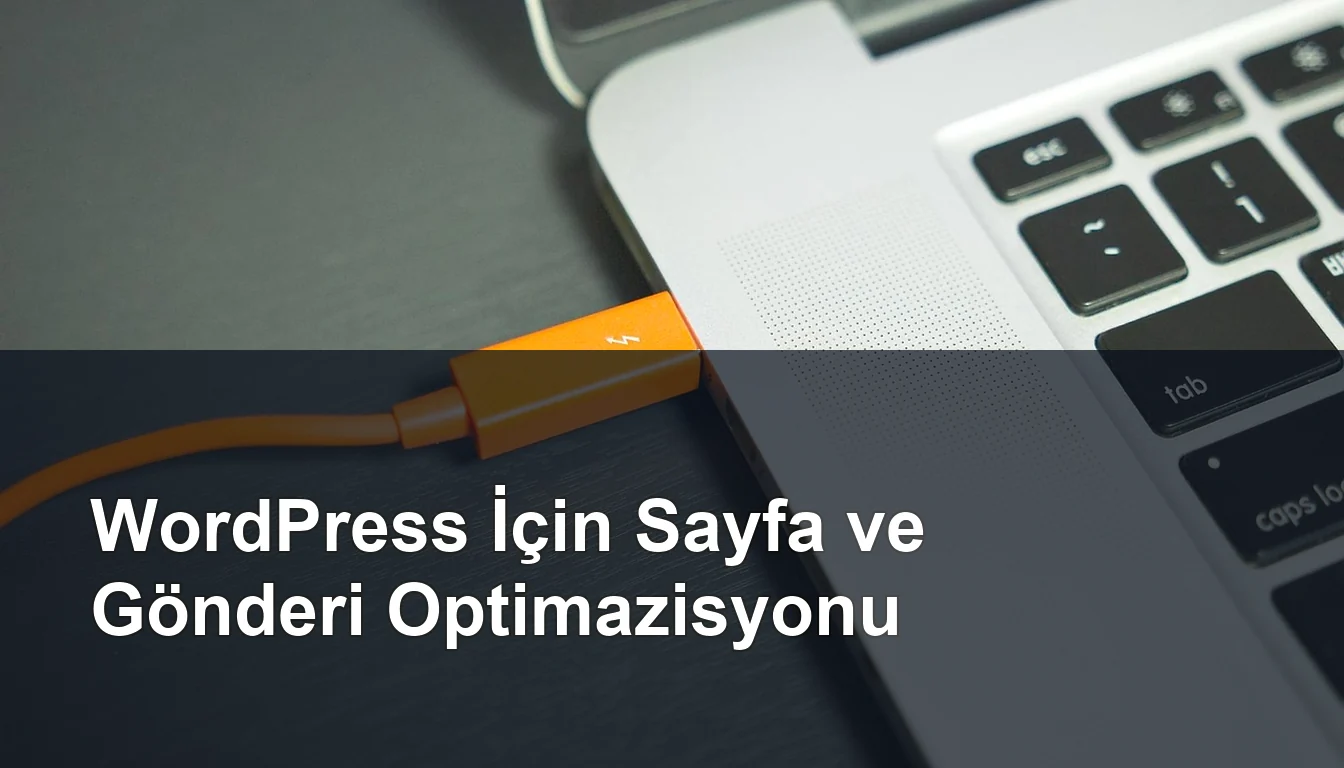 Seomasterking.com | Backlink Paketleri - Seo Hizmetleri