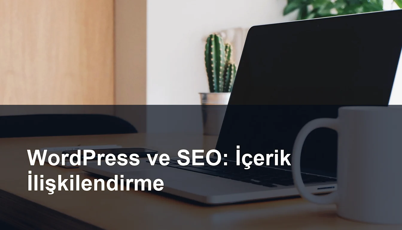 Seomasterking.com | Backlink Paketleri - Seo Hizmetleri